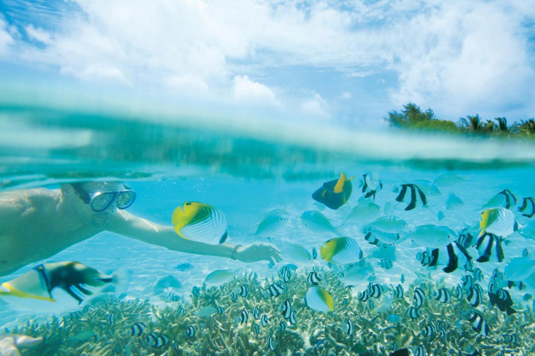 Lux* South Ari Atoll Resort & Villas Dhidhoofinolhu Esterno foto